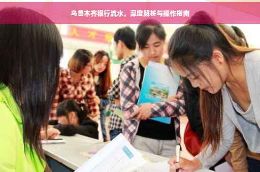 乌鲁木齐银行流水，深度解析与操作指南