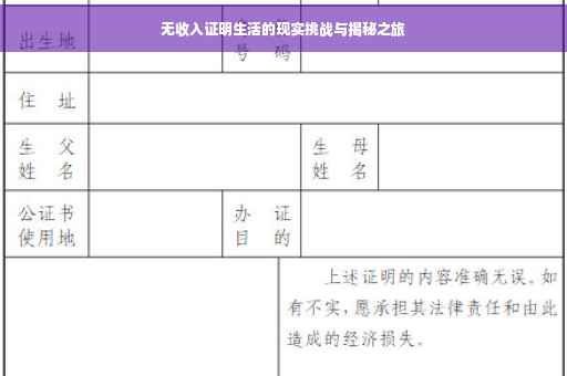 无收入证明生活的现实挑战与揭秘之旅