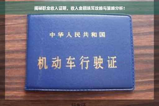 揭秘职业收入证明，收入金额填写攻略与策略分析！