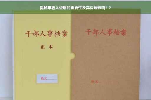 揭秘年收入证明的重要性及其深远影响！?