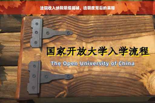 法院收入纳税明细揭秘，透明度背后的真相