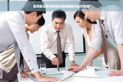 索尼假证明书背后的真相揭秘与应对策略