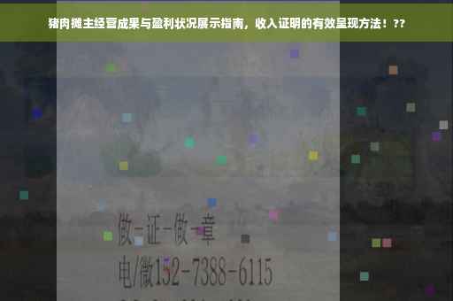 猪肉摊主经营成果与盈利状况展示指南，收入证明的有效呈现方法！??