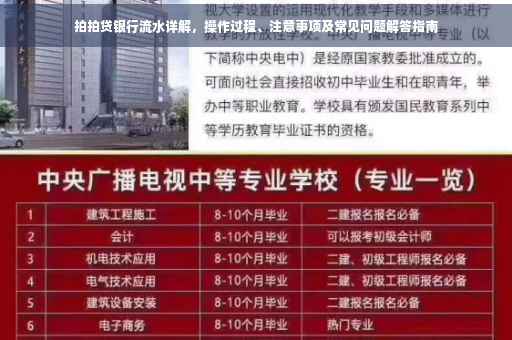 拍拍贷银行流水详解，操作过程、注意事项及常见问题解答指南