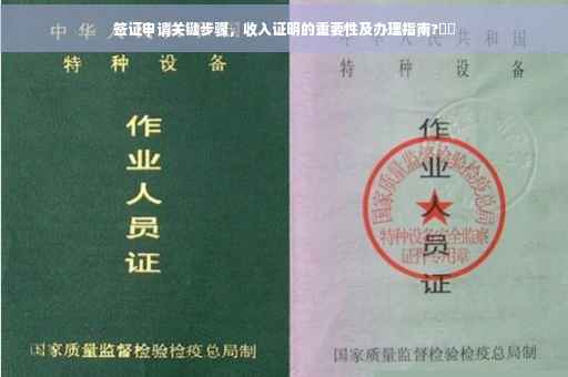 签证申请关键步骤，收入证明的重要性及办理指南?⚡️