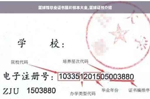 篮球馆毕业证书图片样本大全,篮球证书介绍 篮球馆毕业证书图片样本大全,篮球证书介绍