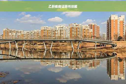 乙肝疾病证明书详解