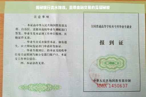 揭秘银行流水筛选，洞悉金融交易的深层秘密