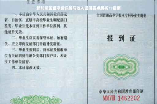 新加坡签证申请详解与收入证明要点解析??指南