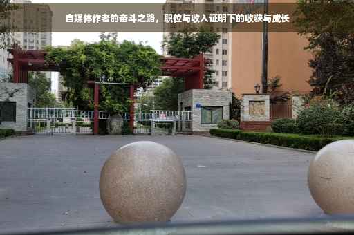 自媒体作者的奋斗之路，职位与收入证明下的收获与成长
