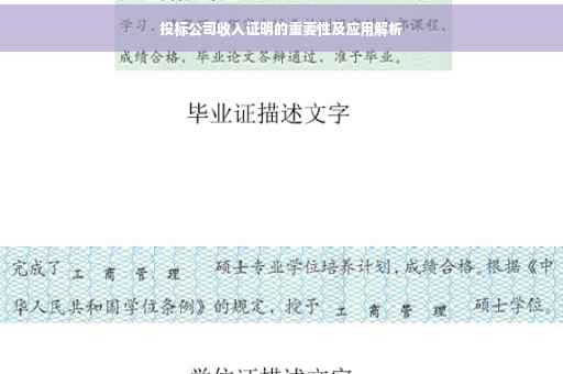 投标公司收入证明的重要性及应用解析