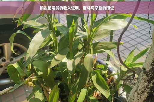 榆次配送员的收入证明，奋斗与辛勤的印证