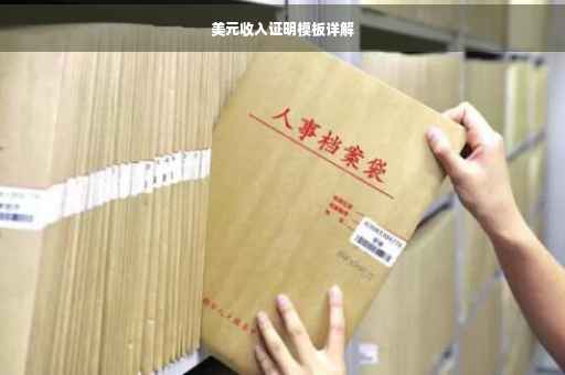 美元收入证明模板详解