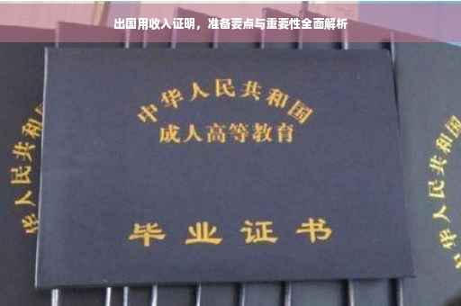 出国用收入证明，准备要点与重要性全面解析