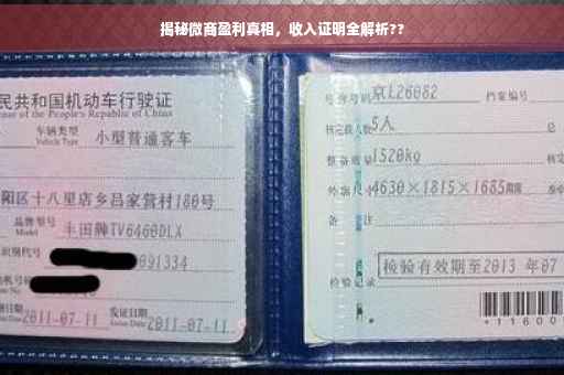 揭秘微商盈利真相，收入证明全解析??