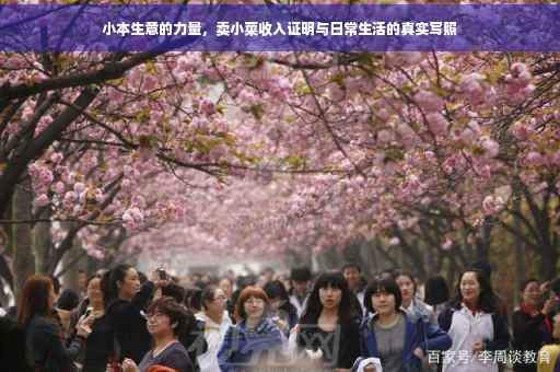 小本生意的力量，卖小菜收入证明与日常生活的真实写照