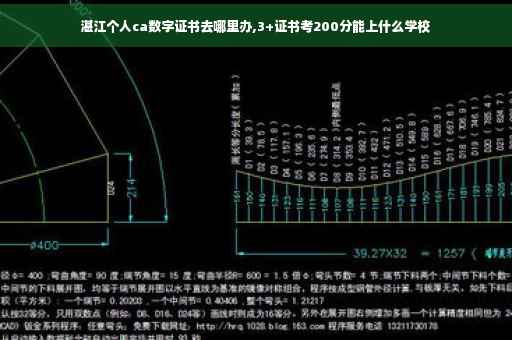 湛江个人ca数字证书去哪里办,3+证书考200分能上什么学校