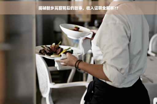 揭秘新乡高薪背后的故事，收入证明全解析??