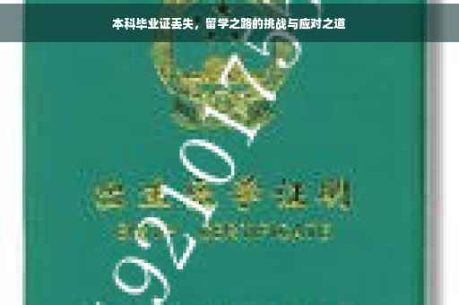 本科毕业证丢失，留学之路的挑战与应对之道