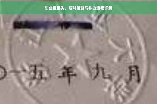 毕业证丢失，应对策略与补办流程详解