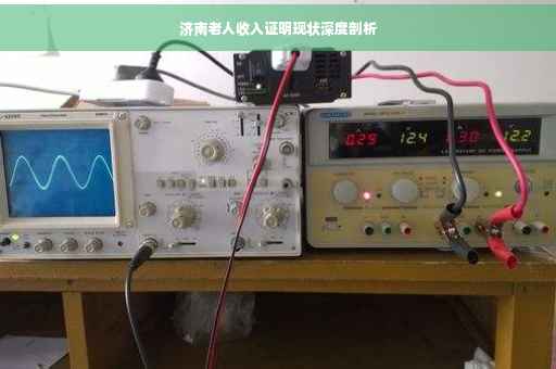 济南老人收入证明现状深度剖析
