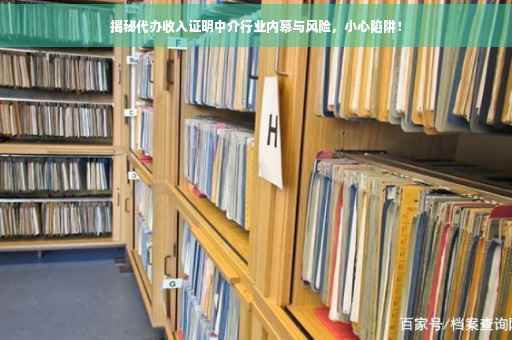 揭秘代办收入证明中介行业内幕与风险，小心陷阱！