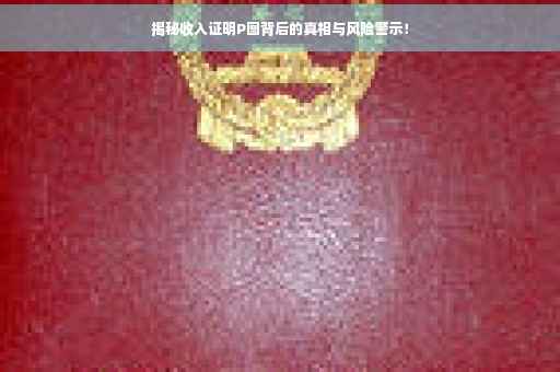揭秘收入证明P图背后的真相与风险警示！
