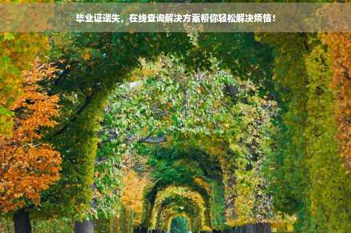 毕业证遗失，在线查询解决方案帮你轻松解决烦恼！