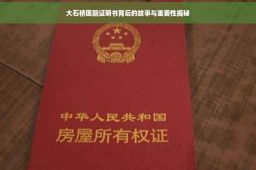大石桥医院证明书背后的故事与重要性揭秘