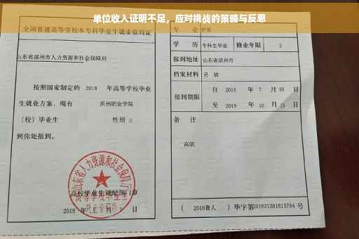 单位收入证明不足，应对挑战的策略与反思
