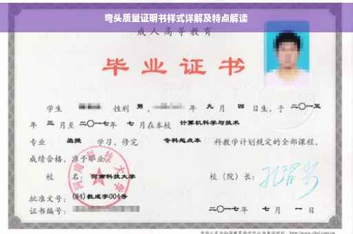 弯头质量证明书样式详解及特点解读