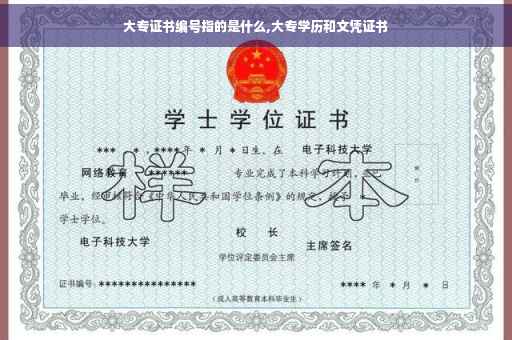 大专证书编号指的是什么,大专学历和文凭证书