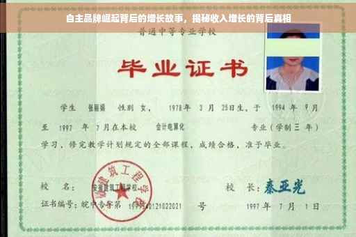 自主品牌崛起背后的增长故事，揭秘收入增长的背后真相