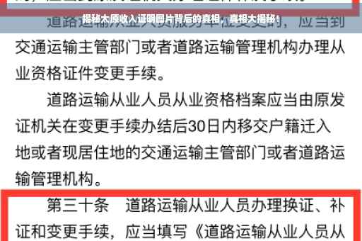 揭秘太原收入证明图片背后的真相，真相大揭秘！