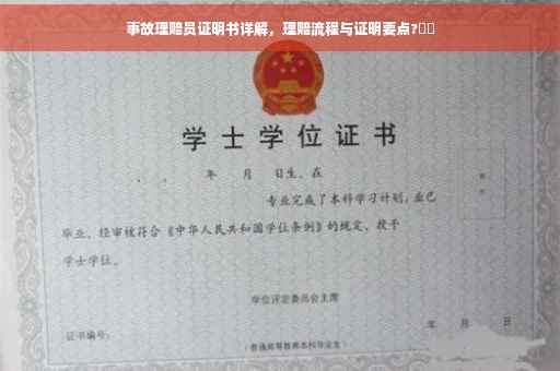 事故理赔员证明书详解，理赔流程与证明要点?⚡️