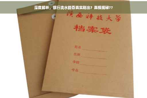 深度解析，银行流水能否真实刷出？真相揭秘??
