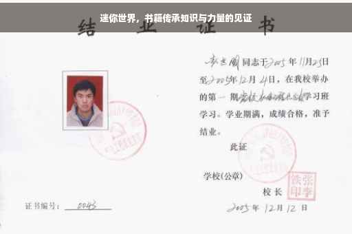 迷你世界，书籍传承知识与力量的见证