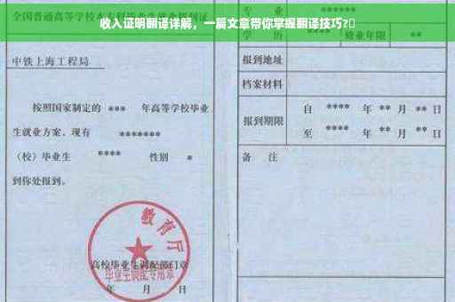 收入证明翻译详解，一篇文章带你掌握翻译技巧?✨