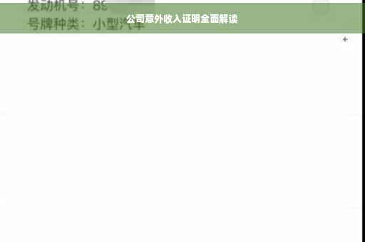 公司意外收入证明全面解读