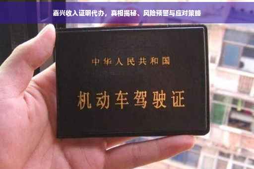 嘉兴收入证明代办，真相揭秘、风险预警与应对策略