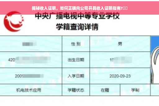 揭秘收入证明，如何正确向公司开具收入证明指南?⚡️