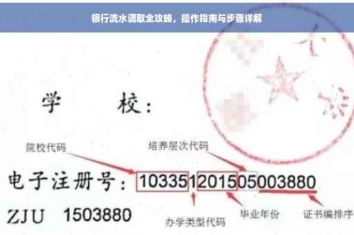 银行流水调取全攻略，操作指南与步骤详解