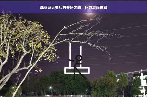 毕业证丢失后的考研之路，补办流程详解