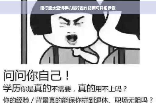 建行流水查询手机银行操作指南与详细步骤