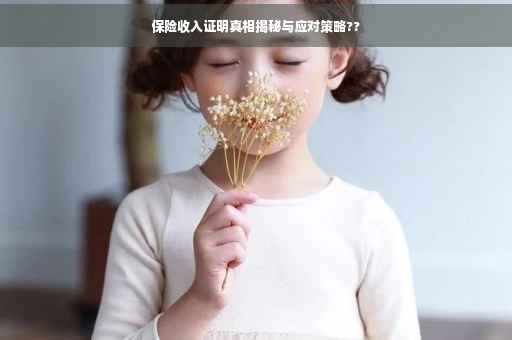 保险收入证明真相揭秘与应对策略??