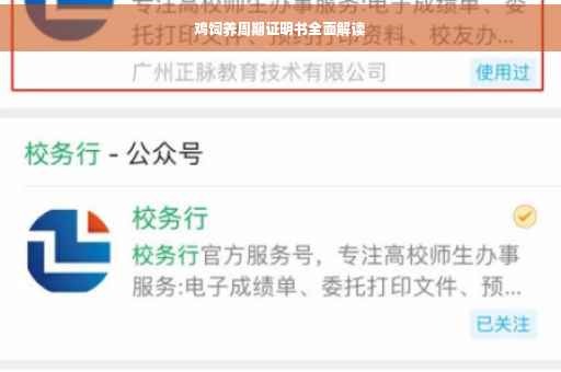 鸡饲养周期证明书全面解读