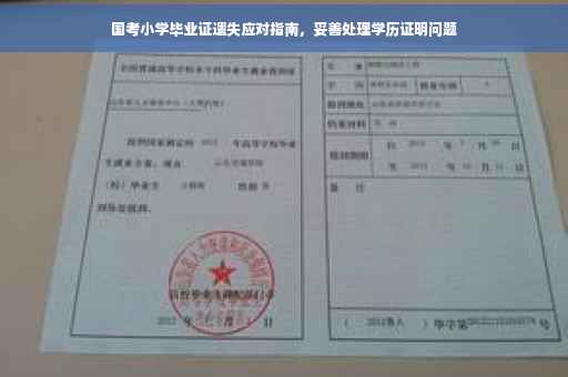 国考小学毕业证遗失应对指南，妥善处理学历证明问题