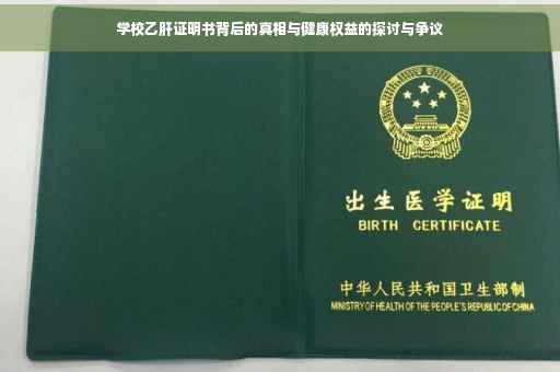 学校乙肝证明书背后的真相与健康权益的探讨与争议