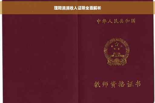 理赔滴滴收入证明全面解析