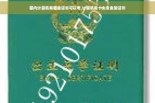 国内计算机有哪些证书可以考,计算机类十大含金量证书
